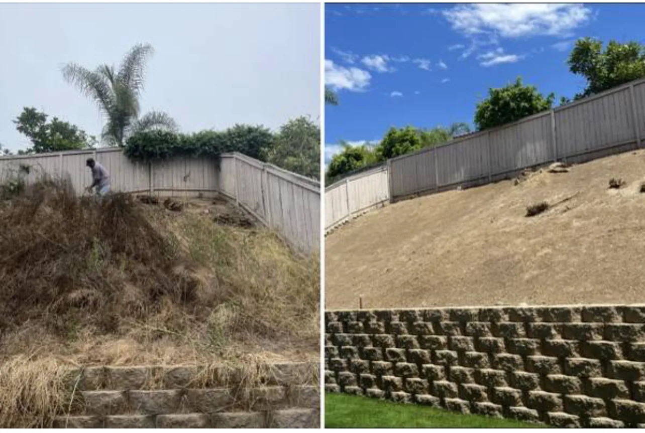 Hillside vegetation cleanup before and after