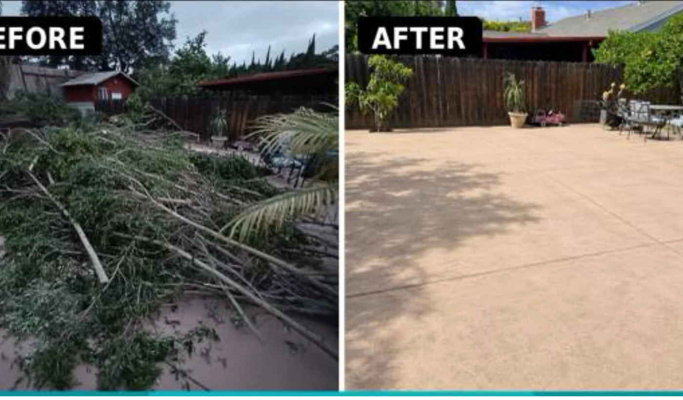 Yard debris cleanup before and after